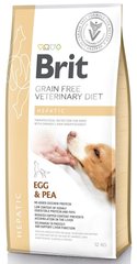 Brit VD Dog Hepatic 2 кг