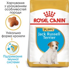 Royal Canin Dog Jack Russell Terrier (Джек Рассел Тер'єр) Puppy для цуценят 1.5 кг