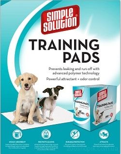 Simple Solution Original Training Pads гигиенические пеленки для собак