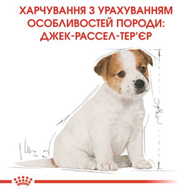 Royal Canin Dog Jack Russell Terrier (Джек Рассел Терьер) Puppy для щенков 1.5 кг сухой корм для собак