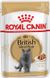 Royal Canin Cat British Shorthair Adult (Британська кішка) Консерви в соусі 85 гр